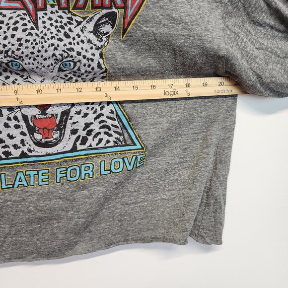Daydreamer Def Leppard Graphic Oversized T-shirt Size XS Gray Long Sleeve Rock - Picture 9 of 11